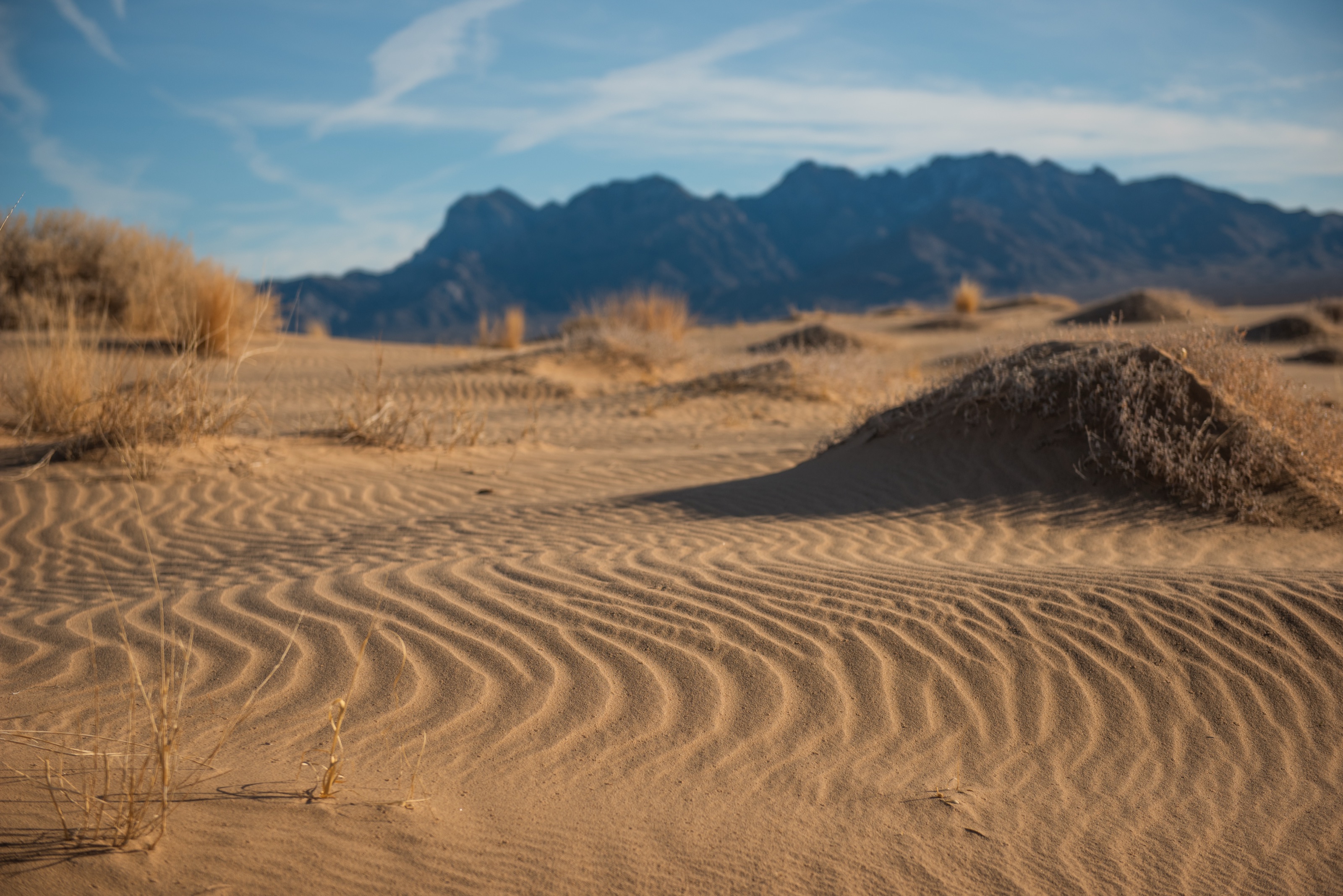 Wind-rippled sand at Kelso Dunes in the Mojave Desert, with the Granite Mountains under a blue sky